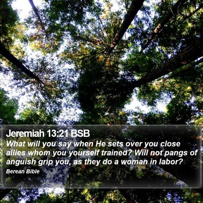 Jeremiah 13:21 BSB Bible Verse Image