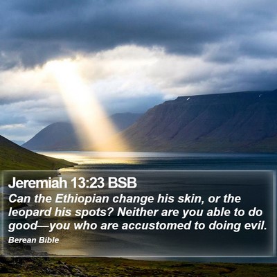 Jeremiah 13:23 BSB Bible Verse Image