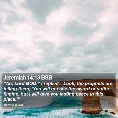 Jeremiah 14:13 BSB Bible Verse Image