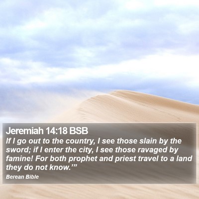 Jeremiah 14:18 BSB Bible Verse Image