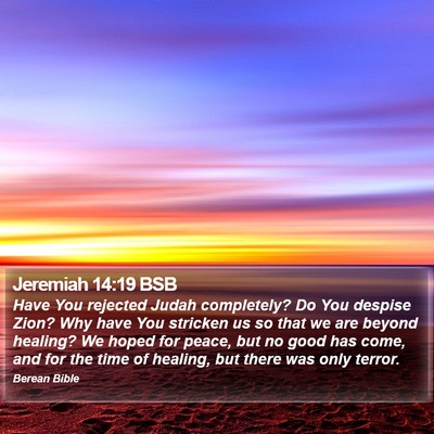 Jeremiah 14:19 BSB Bible Verse Image