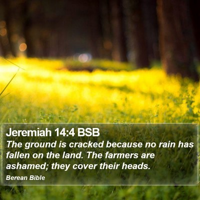 Jeremiah 14:4 BSB Bible Verse Image