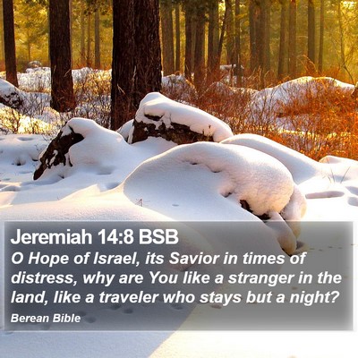 Jeremiah 14:8 BSB Bible Verse Image