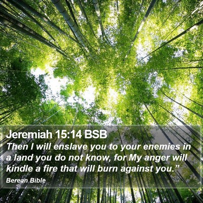 Jeremiah 15:14 BSB Bible Verse Image
