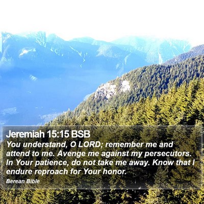 Jeremiah 15:15 BSB Bible Verse Image