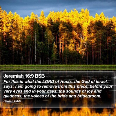 Jeremiah 16:9 BSB Bible Verse Image