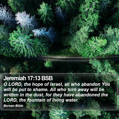 Jeremiah 17:13 BSB Bible Verse Image
