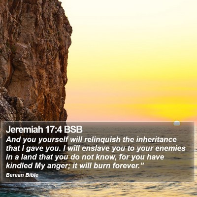 Jeremiah 17:4 BSB Bible Verse Image