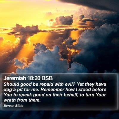 Jeremiah 18:20 BSB Bible Verse Image