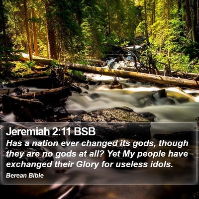 Jeremiah 2:11 BSB Bible Verse Image