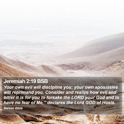 Jeremiah 2:19 BSB Bible Verse Image