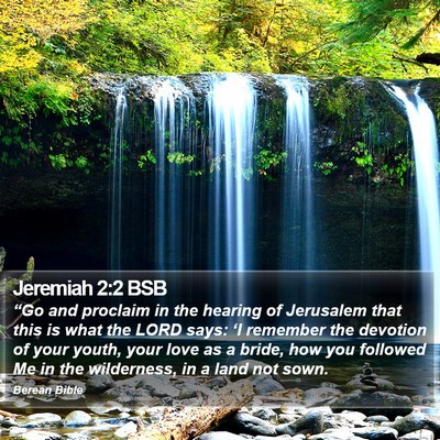 Jeremiah 2:2 BSB Bible Verse Image