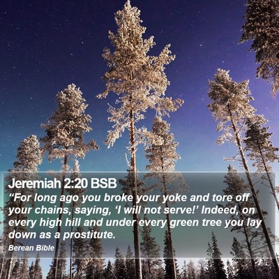 Jeremiah 2:20 BSB Bible Verse Image