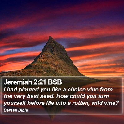 Jeremiah 2:21 BSB Bible Verse Image