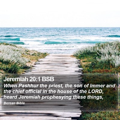 Jeremiah 20:1 BSB Bible Verse Image