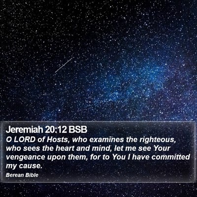 Jeremiah 20:12 BSB Bible Verse Image