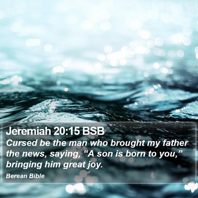 Jeremiah 20:15 BSB Bible Verse Image
