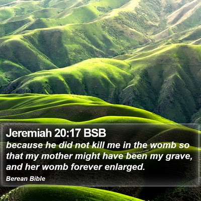 Jeremiah 20:17 BSB Bible Verse Image