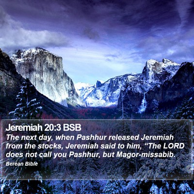 Jeremiah 20:3 BSB Bible Verse Image