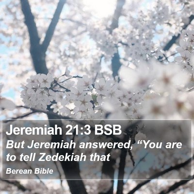 Jeremiah 21:3 BSB Bible Verse Image