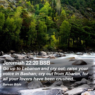Jeremiah 22:20 BSB Bible Verse Image