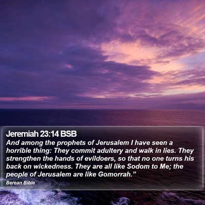 Jeremiah 23:14 BSB Bible Verse Image