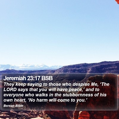 Jeremiah 23:17 BSB Bible Verse Image