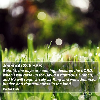 Jeremiah 23:5 BSB Bible Verse Image