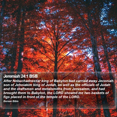 Jeremiah 24:1 BSB Bible Verse Image