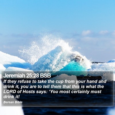 Jeremiah 25:28 BSB Bible Verse Image