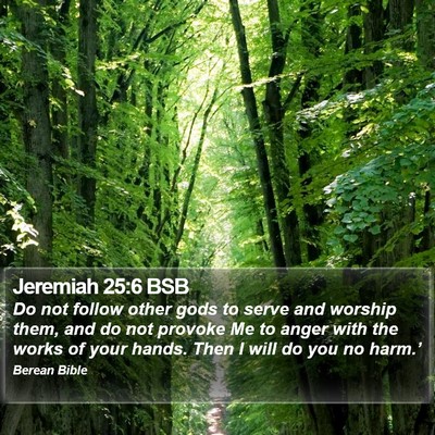 Jeremiah 25:6 BSB Bible Verse Image