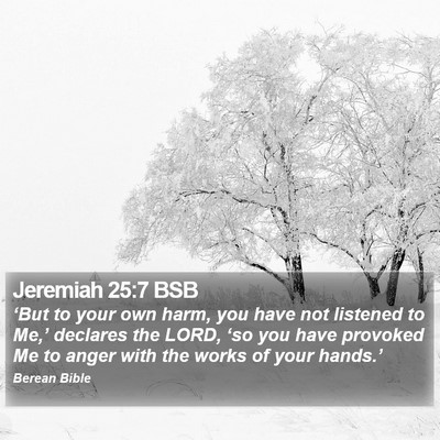 Jeremiah 25:7 BSB Bible Verse Image