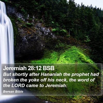 Jeremiah 28:12 BSB Bible Verse Image