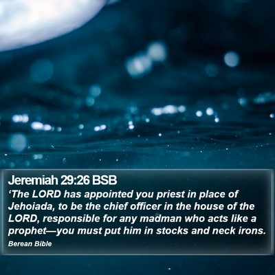 Jeremiah 29:26 BSB Bible Verse Image