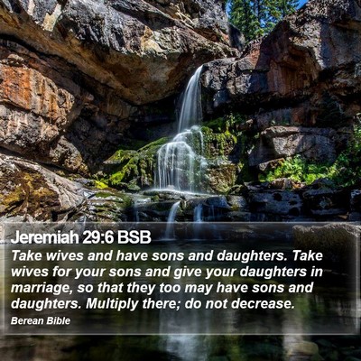 Jeremiah 29:6 BSB Bible Verse Image