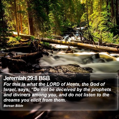 Jeremiah 29:8 BSB Bible Verse Image