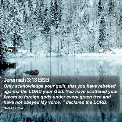 Jeremiah 3:13 BSB Bible Verse Image