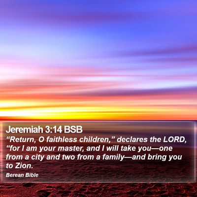 Jeremiah 3:14 BSB Bible Verse Image