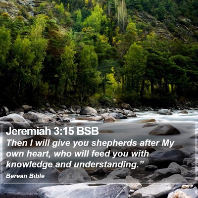 Jeremiah 3:15 BSB Bible Verse Image