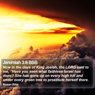 Jeremiah 3:6 BSB Bible Verse Image