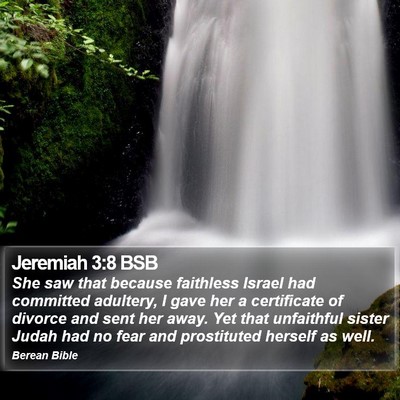 Jeremiah 3:8 BSB Bible Verse Image