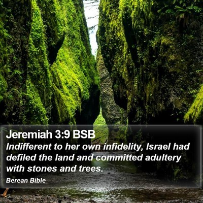 Jeremiah 3:9 BSB Bible Verse Image