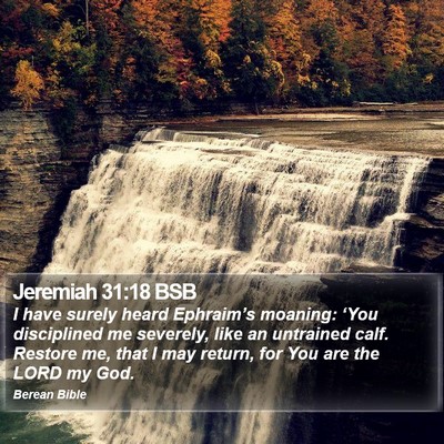 Jeremiah 31:18 BSB Bible Verse Image