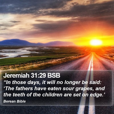Jeremiah 31:29 BSB Bible Verse Image