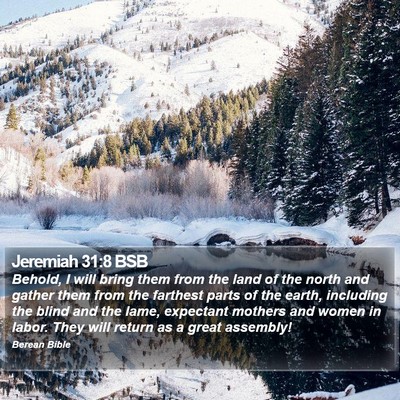 Jeremiah 31:8 BSB Bible Verse Image
