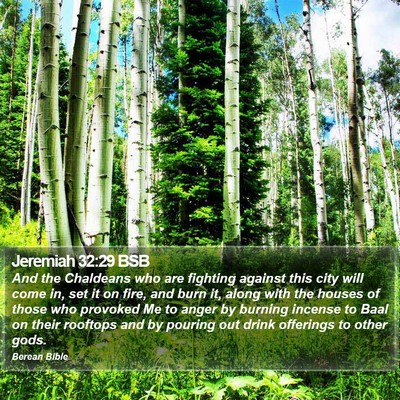 Jeremiah 32:29 BSB Bible Verse Image
