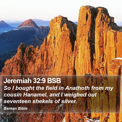 Jeremiah 32:9 BSB Bible Verse Image