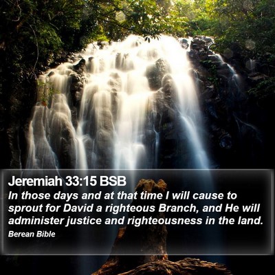 Jeremiah 33:15 BSB Bible Verse Image