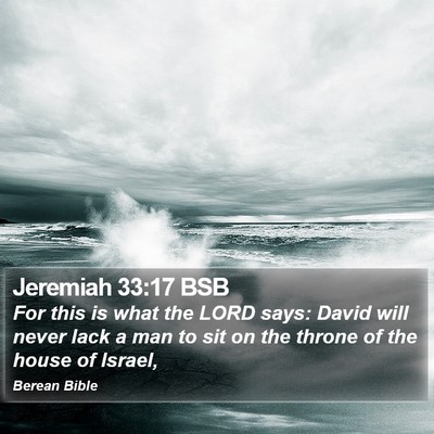 Jeremiah 33:17 BSB Bible Verse Image