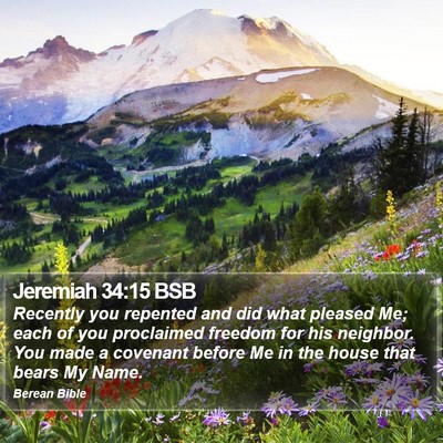 Jeremiah 34:15 BSB Bible Verse Image